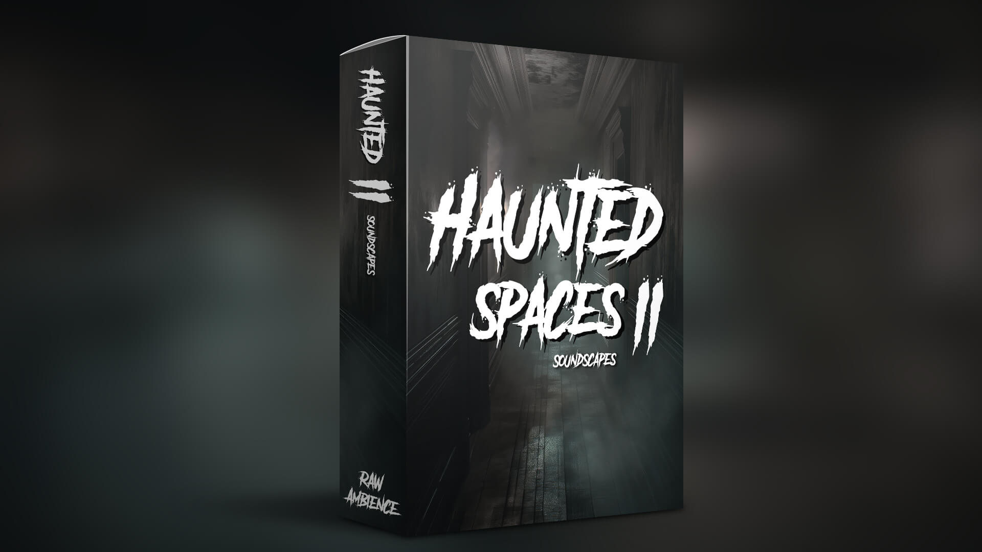 Raw Ambience - Haunted Spaces 2 Sample Packs Software GUI Artwork