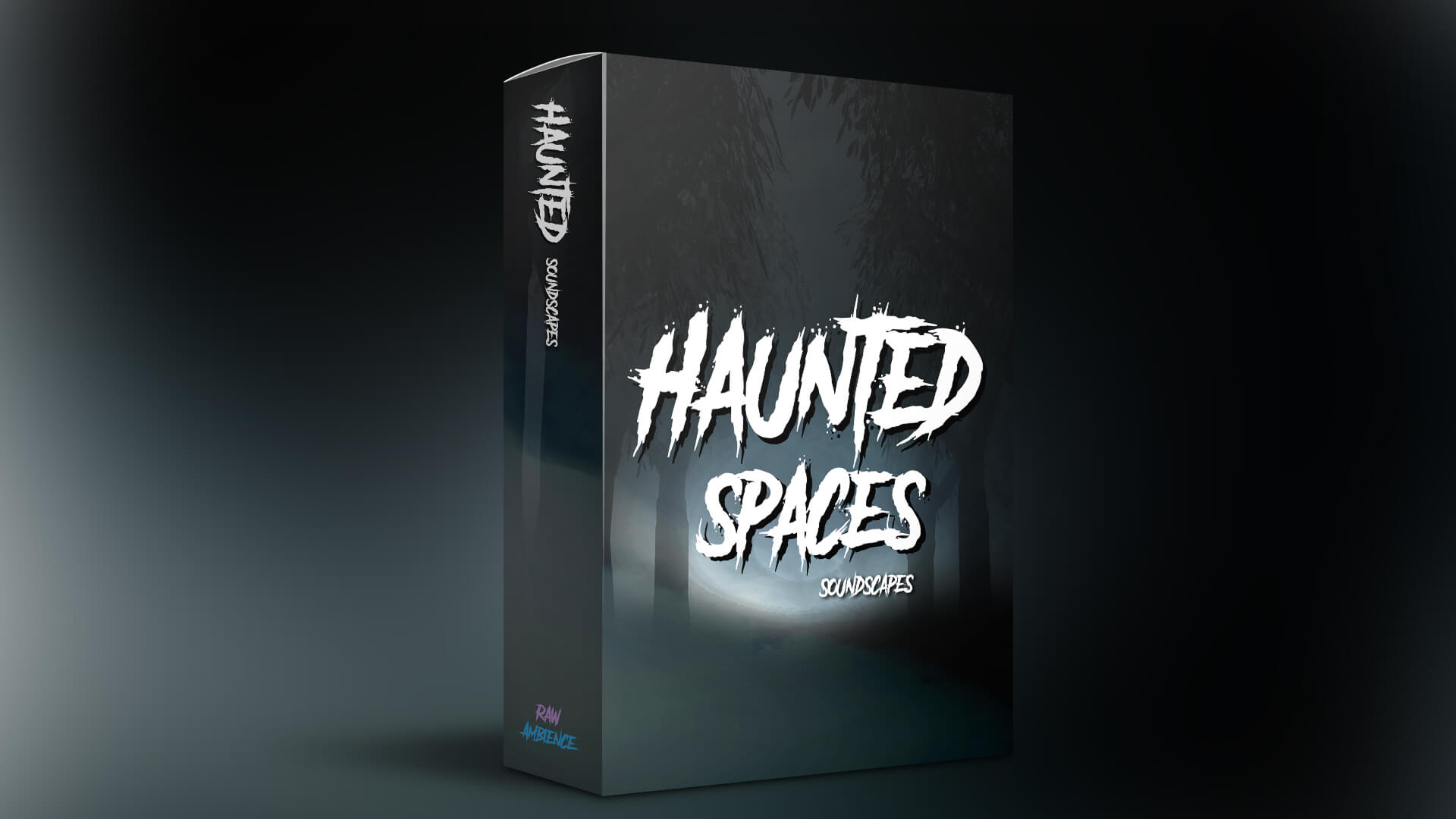 Raw Ambience - Haunted Spaces Sample Packs Software GUI Artwork