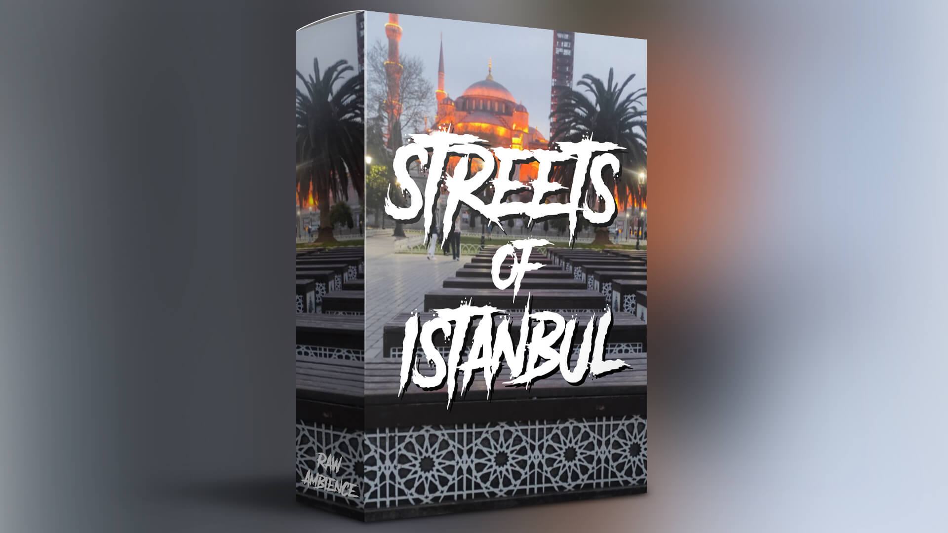 Raw Ambience - Streets of Istanbul Sample Packs Software GUI Artwork