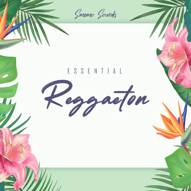 Smemo Sounds - Essential Reggaeton Sample Packs Software GUI Artwork