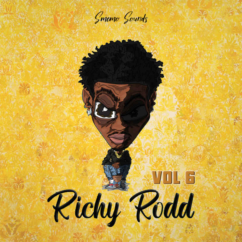 Smemo Sounds - Richy Rodd Vol.6 Sample Packs Software GUI Artwork