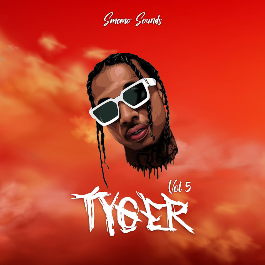 Smemo Sounds - Tyger Vol. 5 Sample Packs Software GUI Artwork