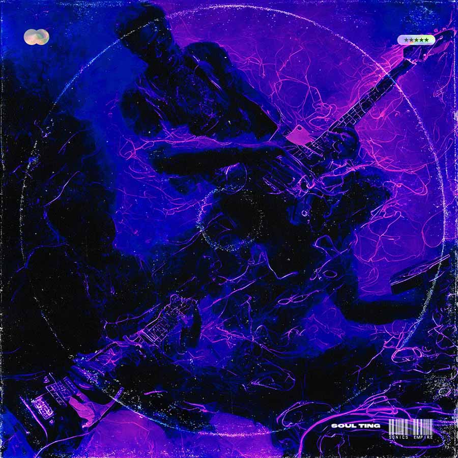 Sonics Empire - Soul Ting Sample Packs Software GUI Artwork
