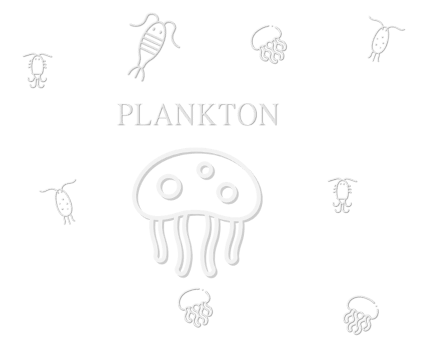 Sound Dust - Plankton Screenshot 3