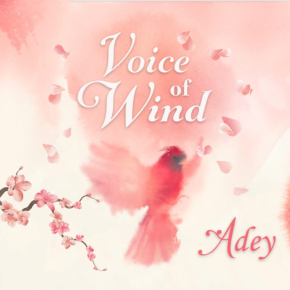 Soundiron - Voice of Wind - Adey Kontakt Instruments Software GUI Artwork