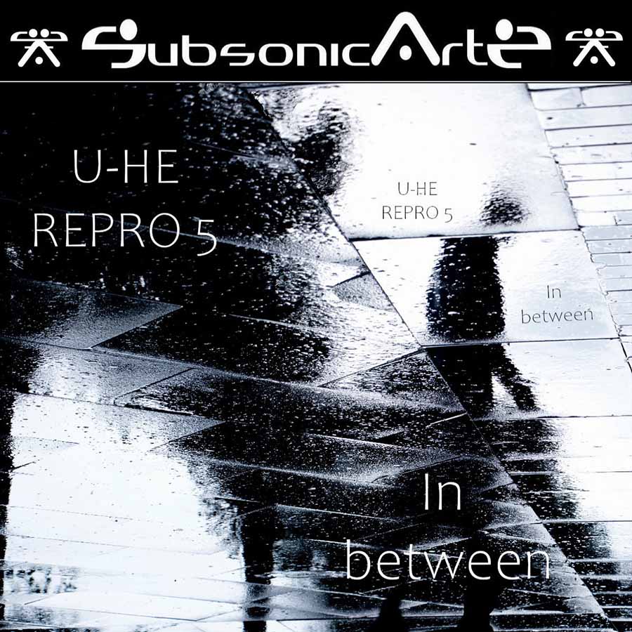 Subsonic Artz - In Between - U-HE Repro 5 Presets Software GUI Artwork