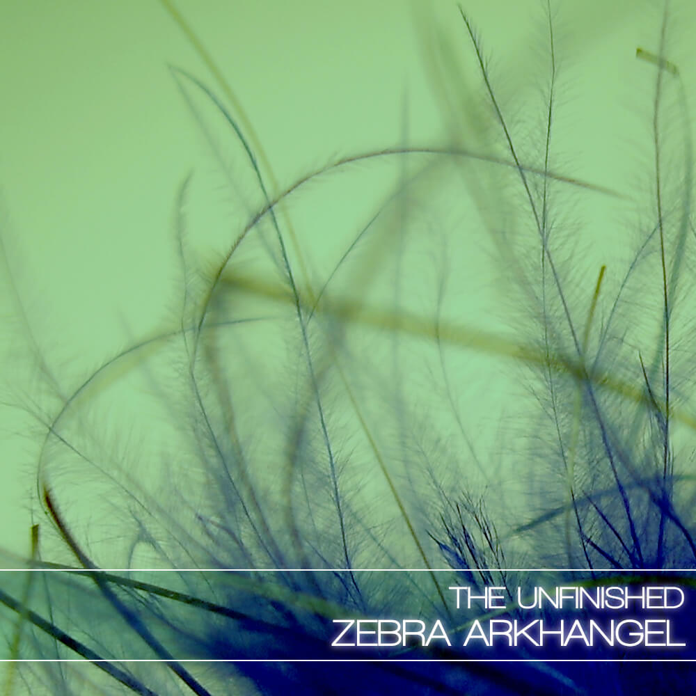 The Unfinished  - Zebra Arkhangel Presets Software GUI Artwork