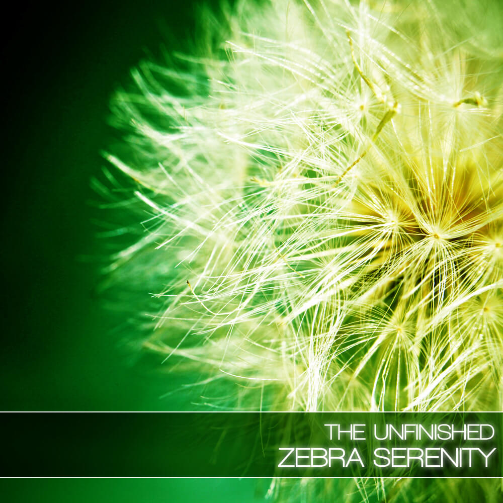 The Unfinished  - Zebra Serenity Presets Software GUI Artwork