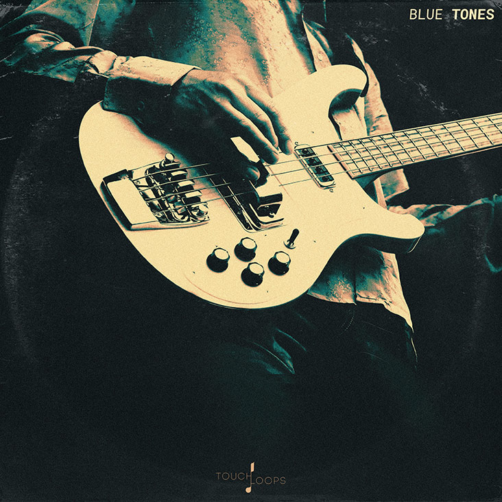 Touch Loops - Blue Tones Sample Packs Software GUI Artwork