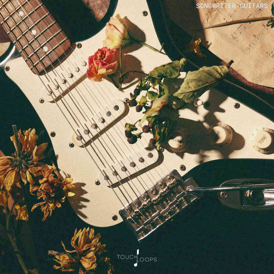 Touch Loops - Songwriter Guitars Sample Packs Software GUI Artwork