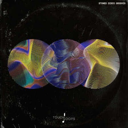 Stoned Disco Grooves