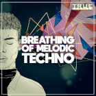 True Samples - Breathing Of Melodic Techno Sample Packs Software GUI Artwork