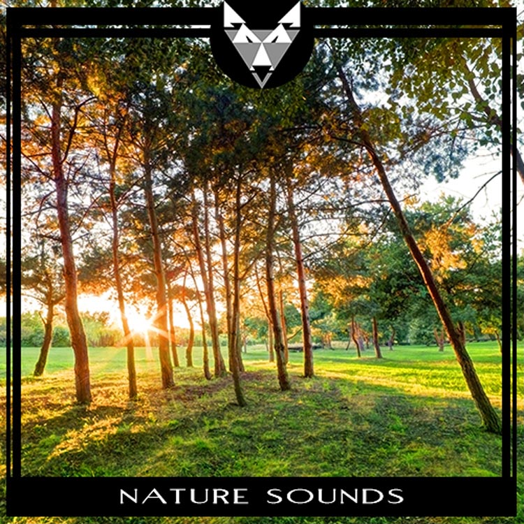 Nature Sounds