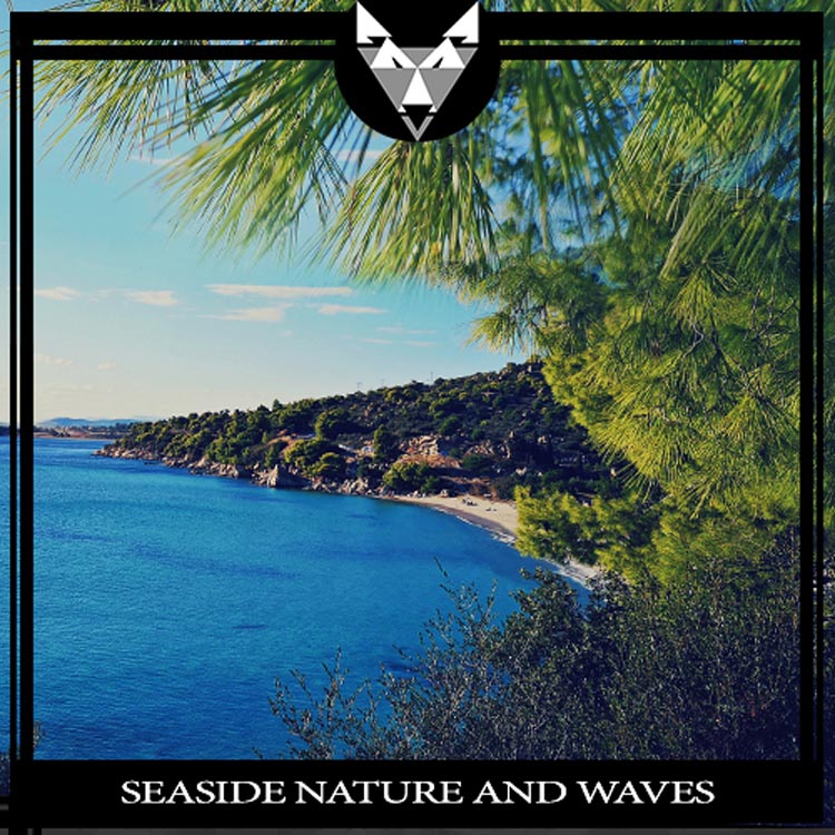 Seaside Nature And Waves