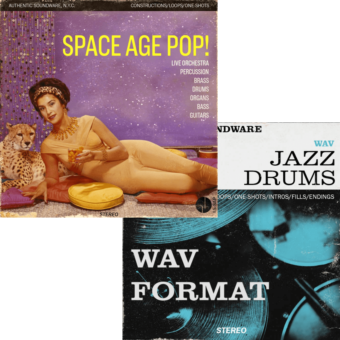 Authentic Soundware - WAV Bundle Sample Packs Software GUI Artwork