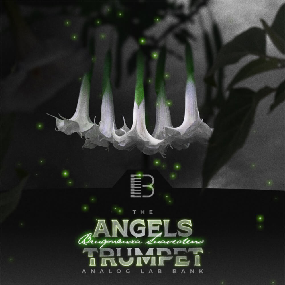 Brandon Chapa - Angels Trumpet Analog Labs Bank  Presets Software GUI Artwork