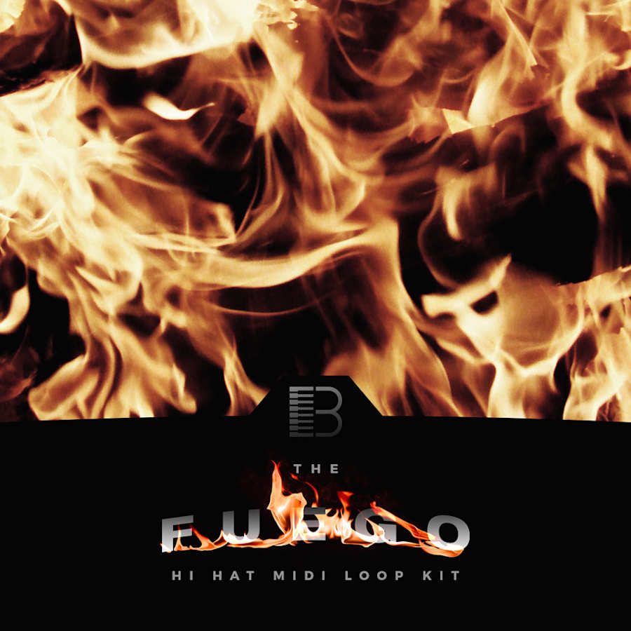 Brandon Chapa - Fuego Sample Packs Software GUI Artwork