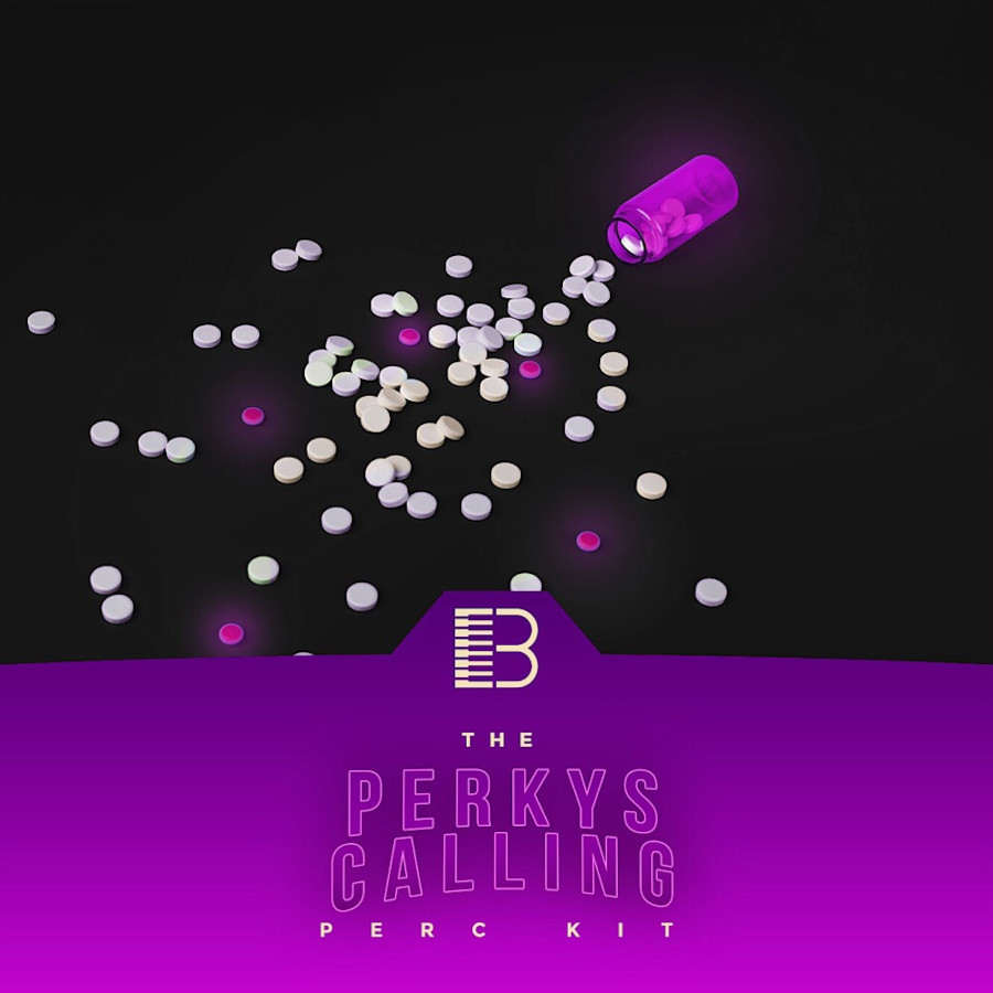 Brandon Chapa - Perkys Calling Sample Packs Software GUI Artwork