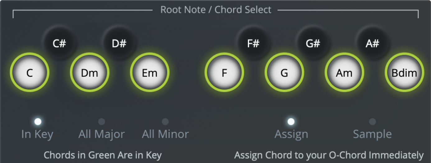 Chord Board - Chord Board Pro + Hand Board Screenshot 4