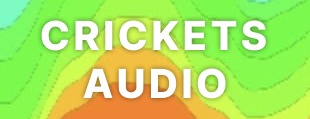 Crickets Audio Logo