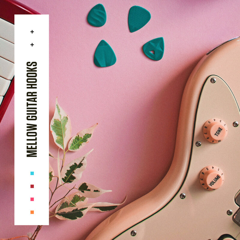 Diginoiz - Mellow Guitar Hooks Sample Packs Software GUI Artwork
