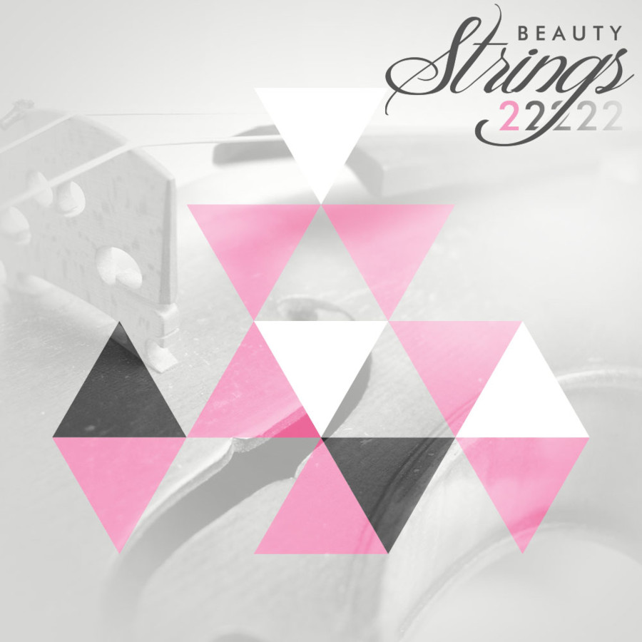 Diginoiz - Beauty Strings 2 Sample Packs Software GUI Artwork