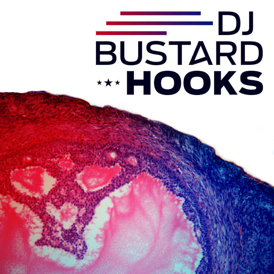 Diginoiz - Dj Bustard Hooks Sample Packs Software GUI Artwork
