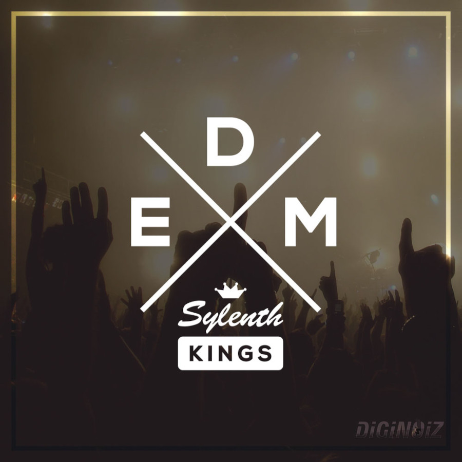 Diginoiz - Edm Sylenth Kings Presets Software GUI Artwork