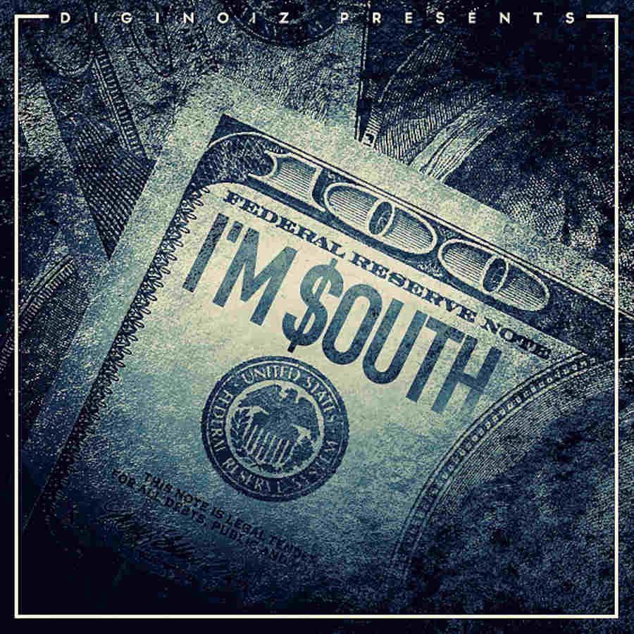 Diginoiz - I'm South Sample Packs Software GUI Artwork