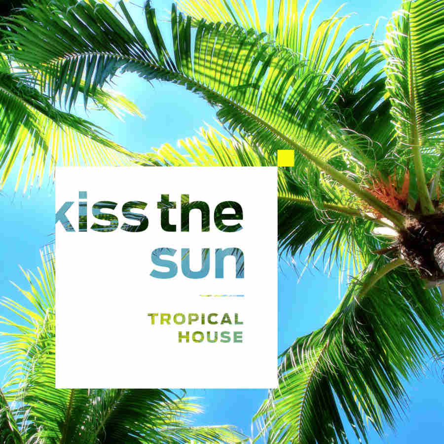 Diginoiz - Kiss The Sun – Tropical House Sample Packs Software GUI Artwork