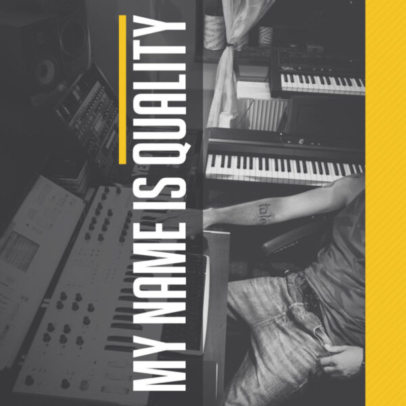 Diginoiz - My Name Is Quality Sample Packs Software GUI Artwork
