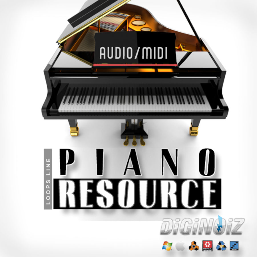 Diginoiz - Piano Resource Sample Packs Software GUI Artwork