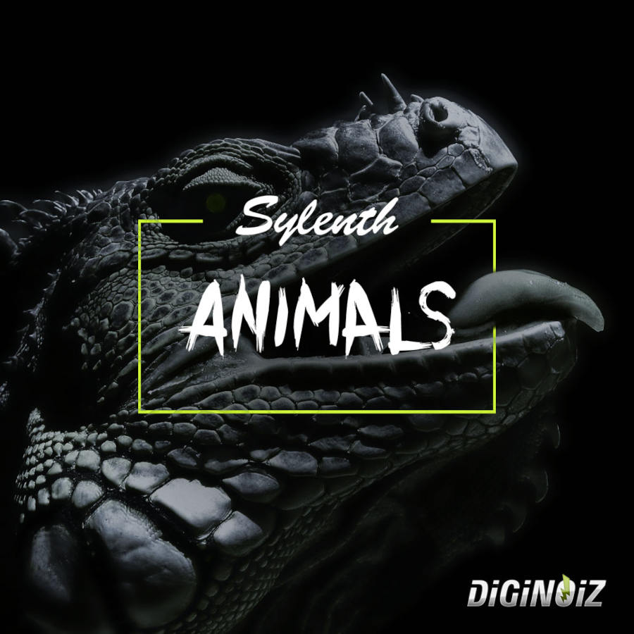 Diginoiz - Sylenth Animals Presets Software GUI Artwork