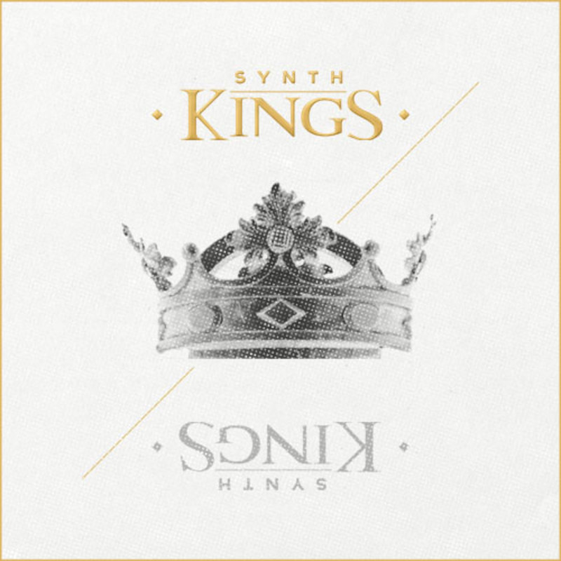 Diginoiz - Synth Kings Sample Packs Software GUI Artwork
