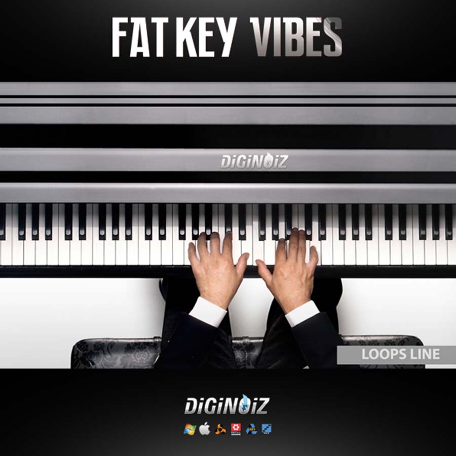 Diginoiz - Fat Key Vibes Sample Packs Software GUI Artwork