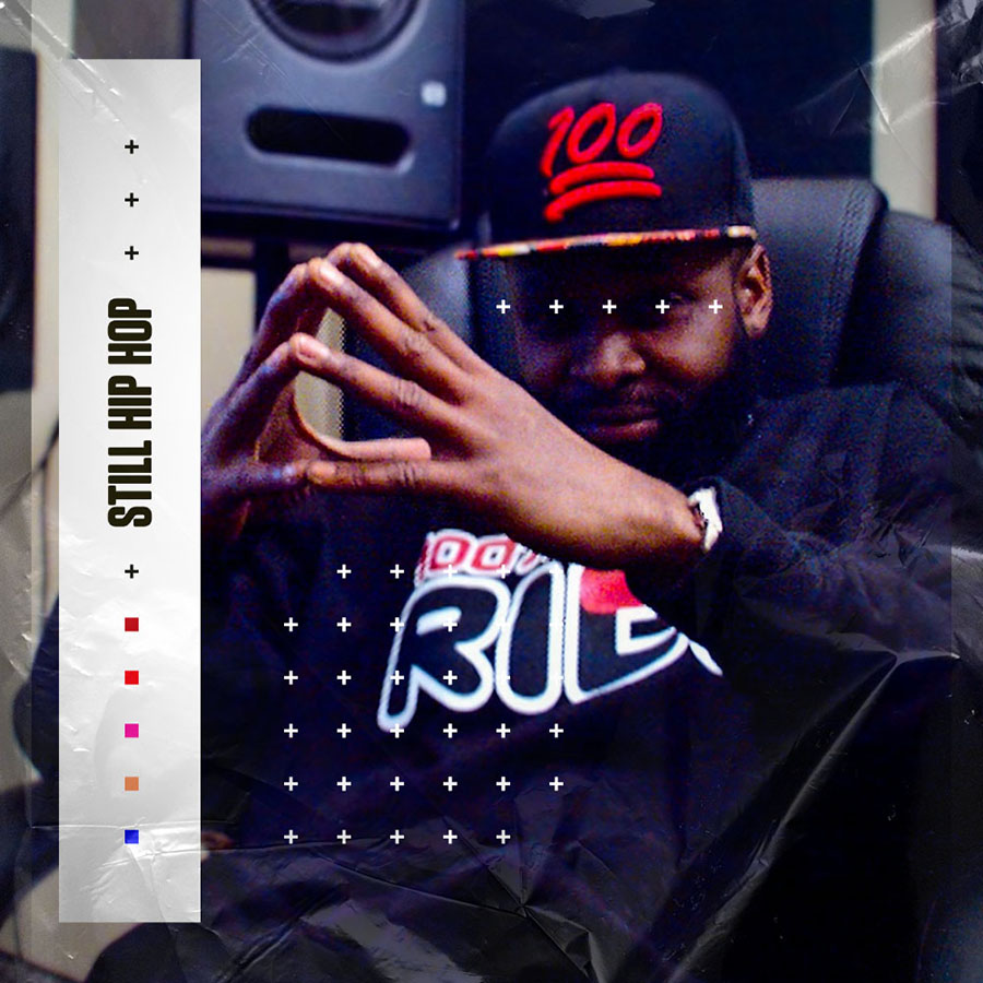 Diginoiz - Still Hip Hop Sample Packs Software GUI Artwork