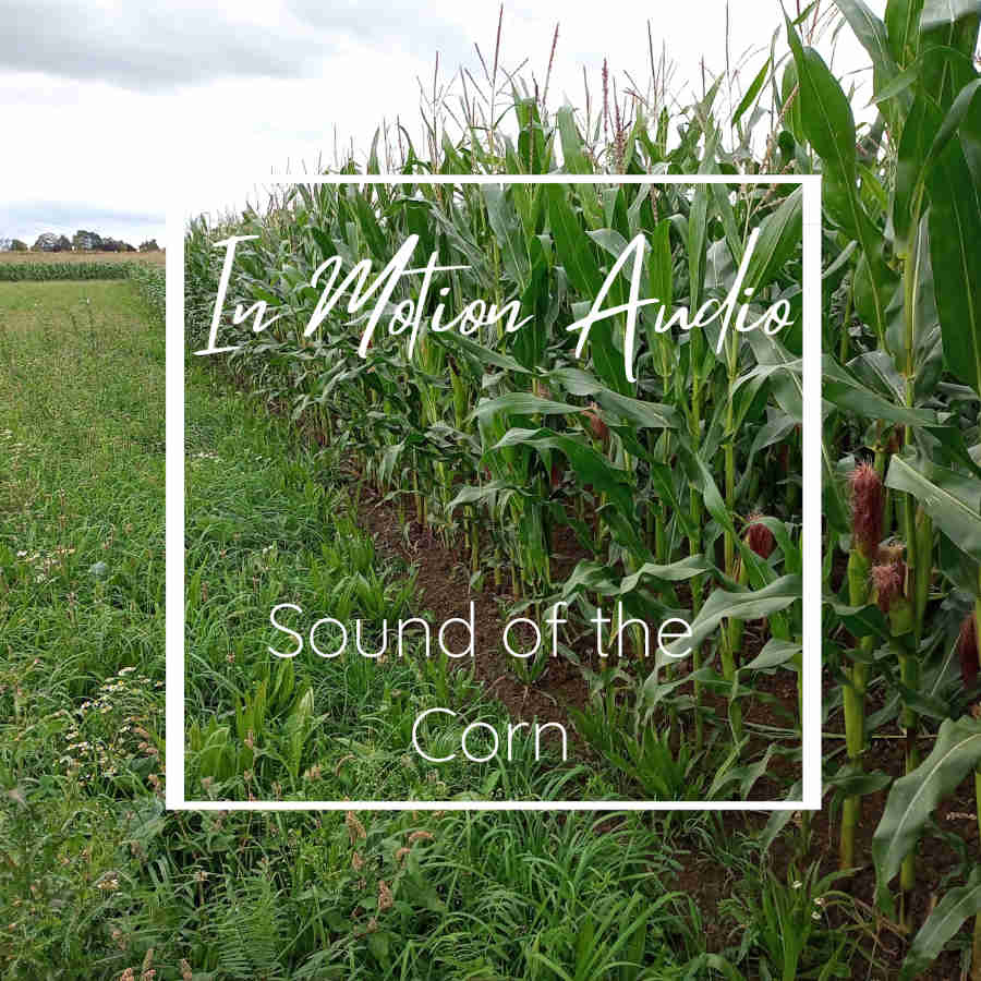 In Motion Audio - Sound of the corn Sample Packs Software GUI Artwork