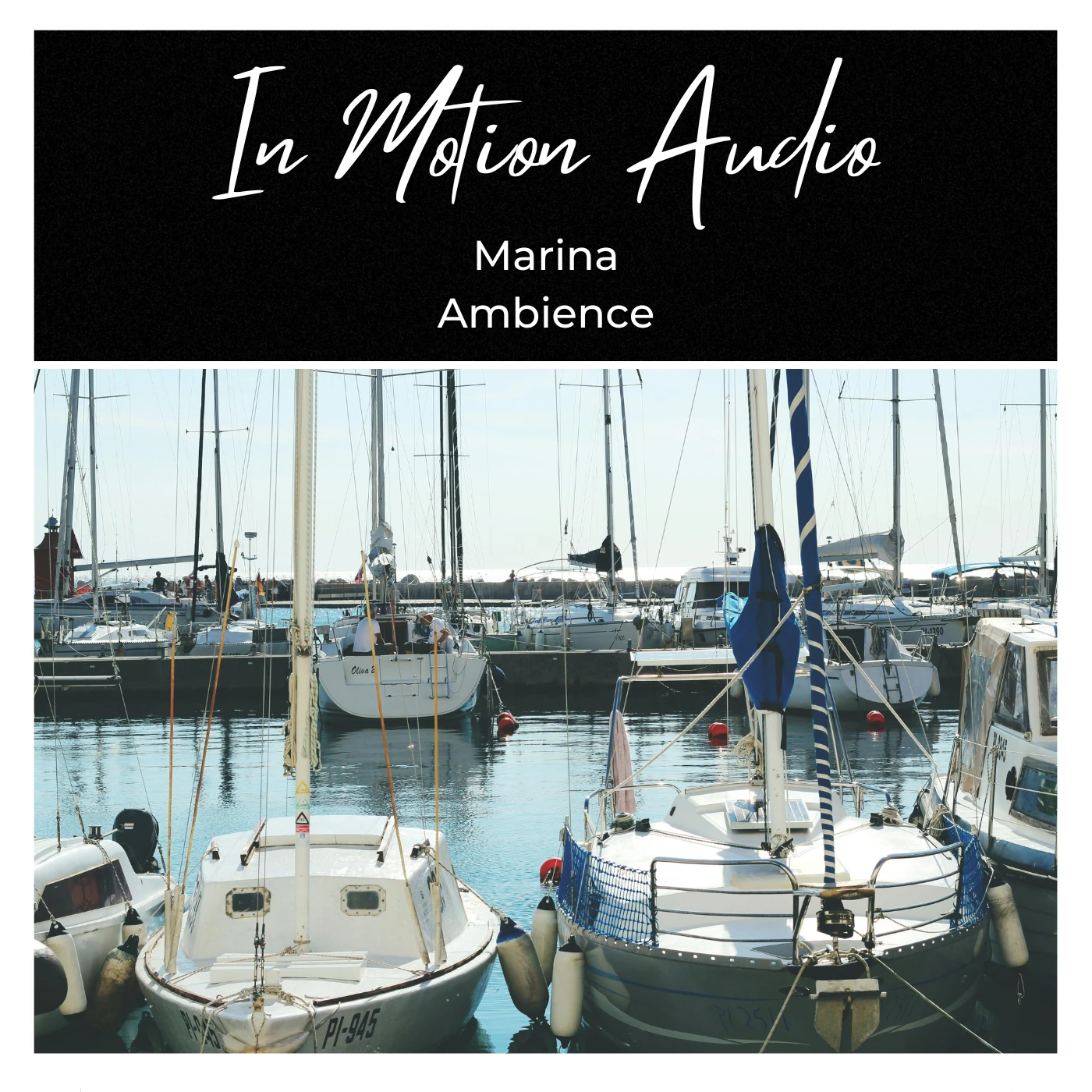 In Motion Audio - Marina Ambience Sample Packs Software GUI Artwork