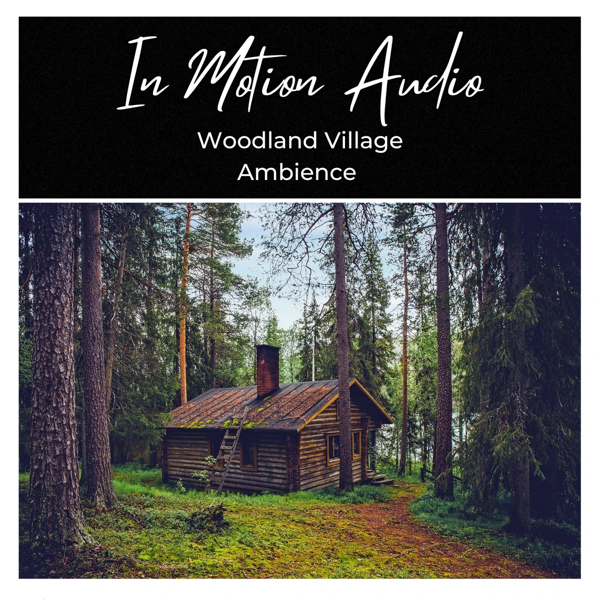 In Motion Audio - Woodland Village Ambience Sample Packs Software GUI Artwork