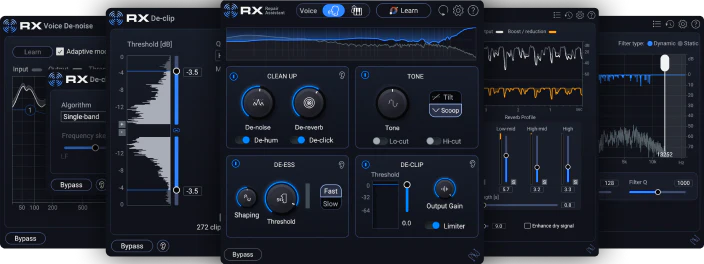Izotope - RX 12 Elements Plugins & FX Software GUI Artwork