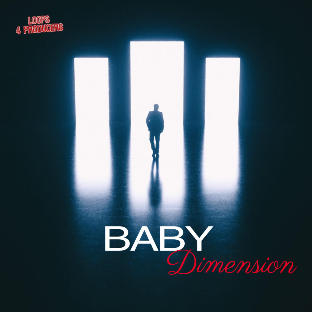 Loops 4 Producers - Baby Dimension Sample Packs Software GUI Artwork