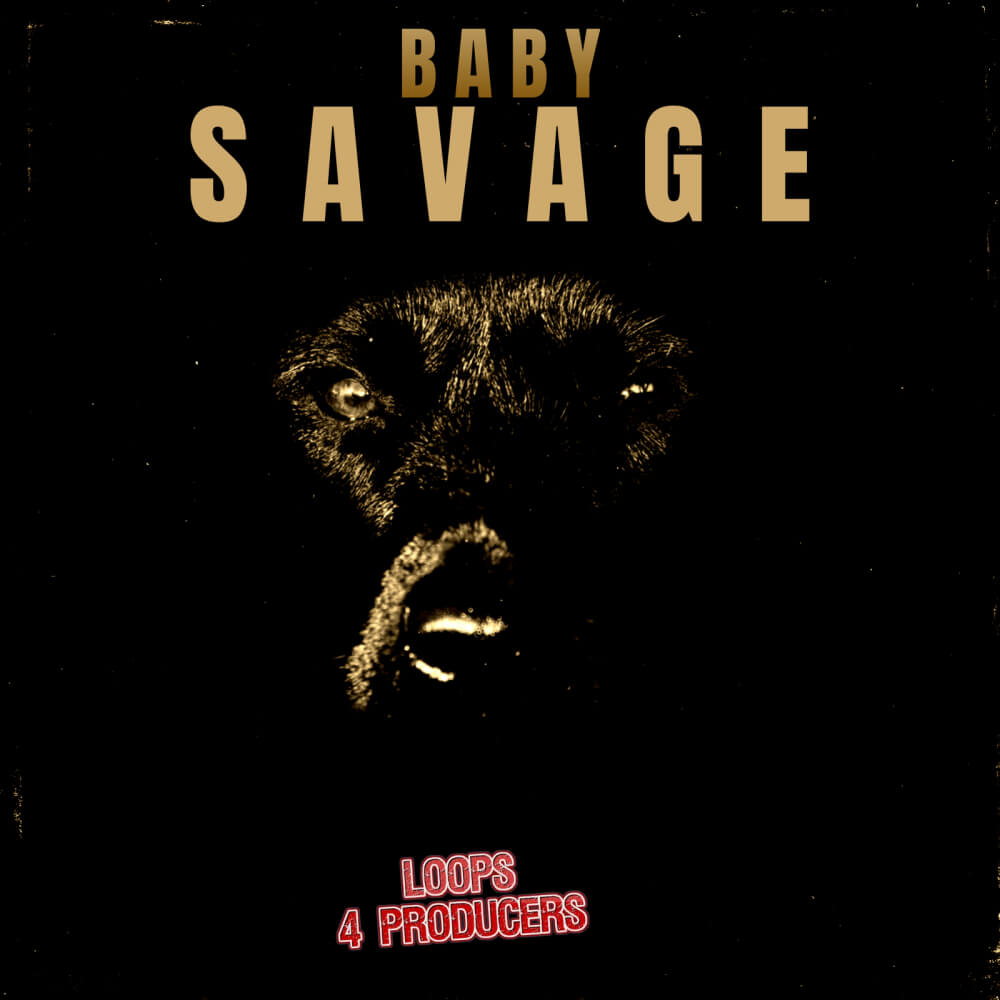 Loops 4 Producers - Baby Savage Sample Packs Software GUI Artwork