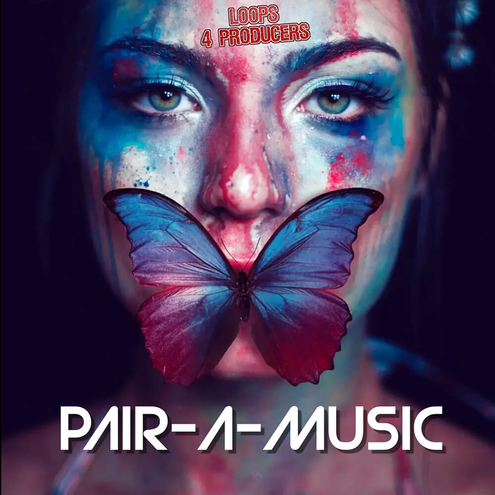 Loops 4 Producers - Pair-A-Music Sample Packs Software GUI Artwork