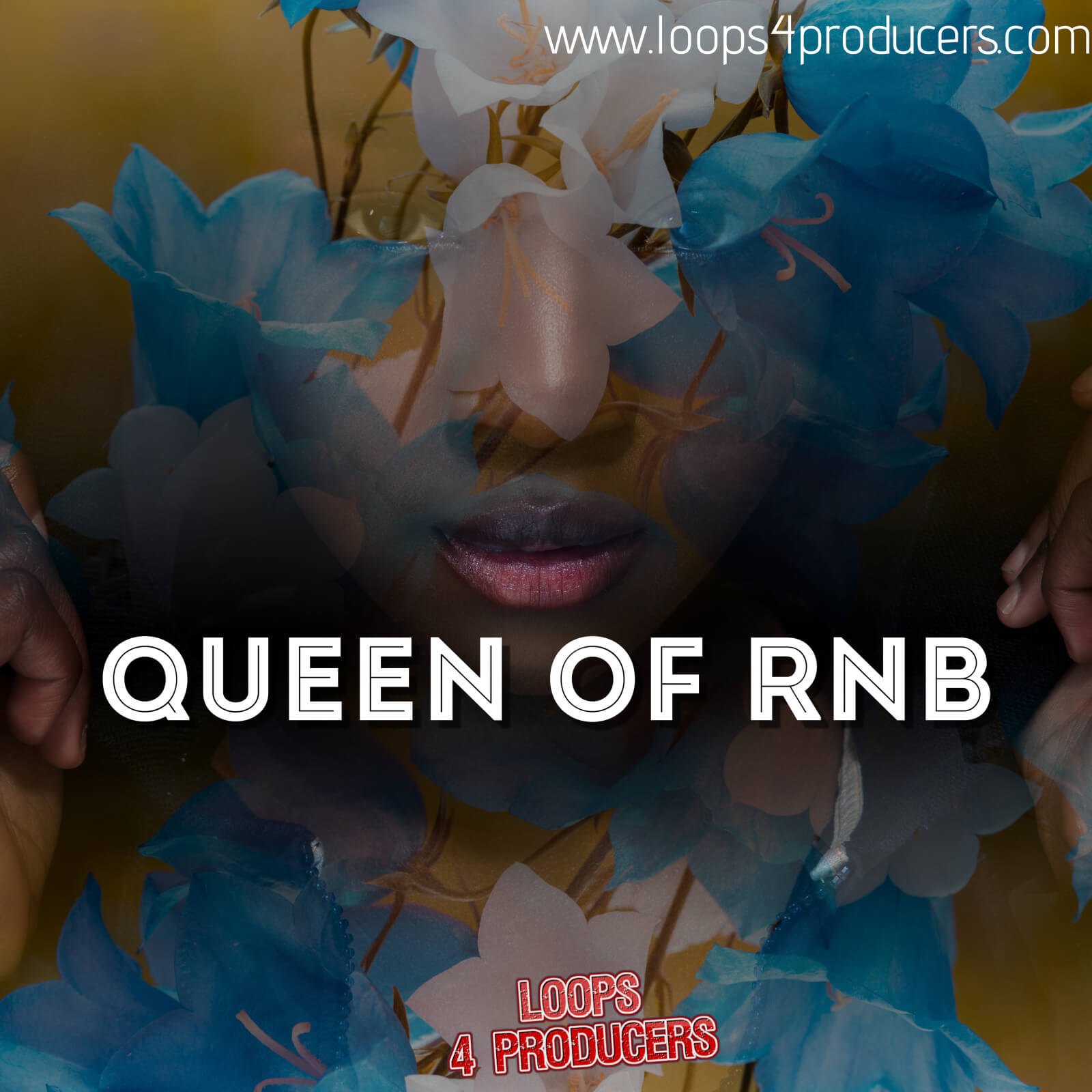 Loops 4 Producers - Queen of RnB Sample Packs Software GUI Artwork