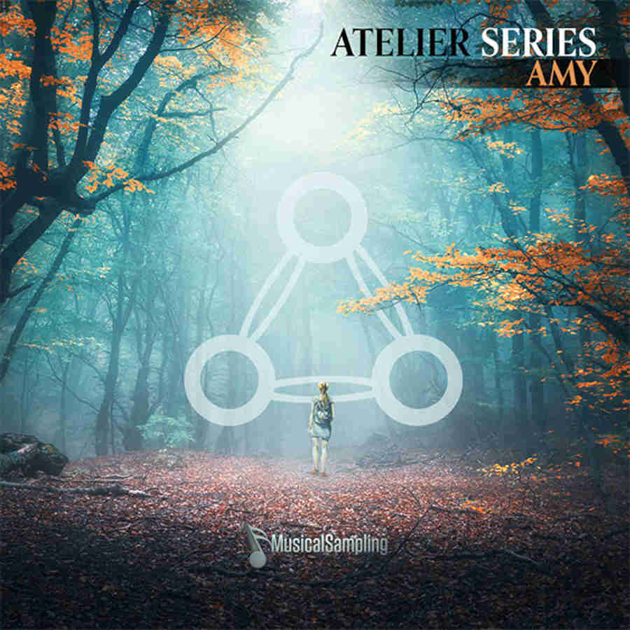 Musical Sampling - Amy Kontakt Instruments Software GUI Artwork