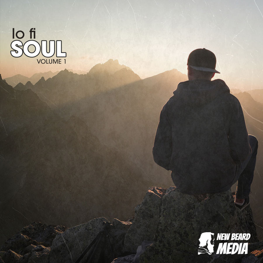 New Beard Media - Lo-Fi Soul Vol 1 Sample Packs Software GUI Artwork