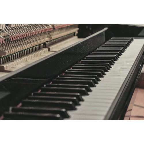 Sonic Atoms - Novel Piano - Free Screenshot 3