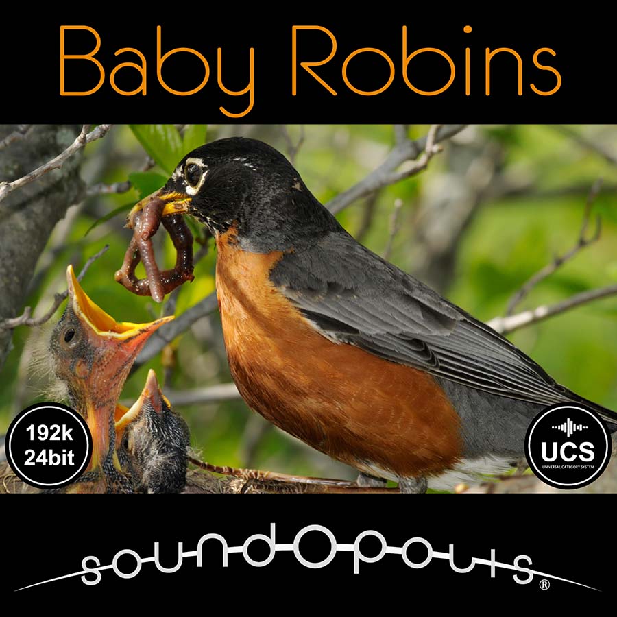Soundopolis - Baby Robins Sample Packs Software GUI Artwork