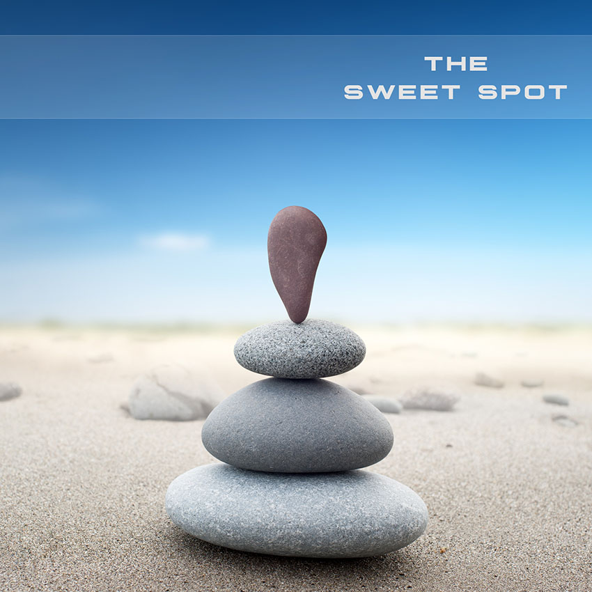 Sounds Divine - The Sweet Spot Presets Software GUI Artwork