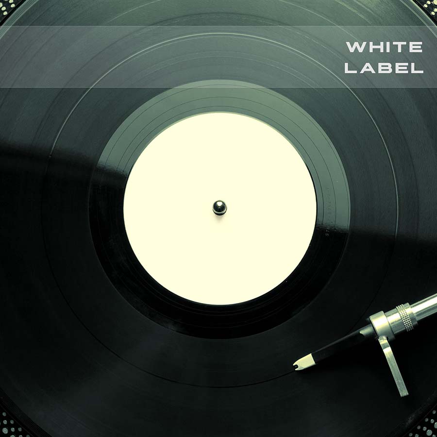 Sounds Divine - White Label - Korg Polysix Presets Software GUI Artwork